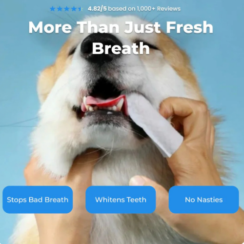 Fresh Wipes - Dog Dental Wipes